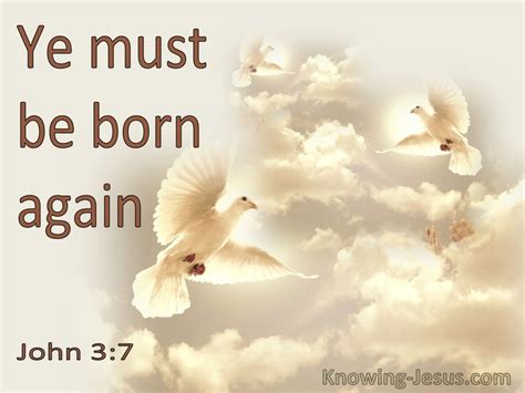 born again meaning in the bible.